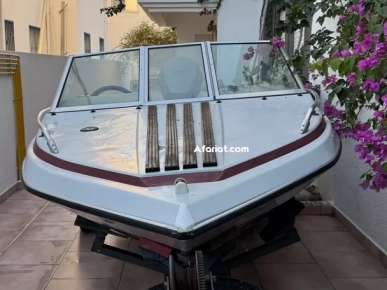 à vendre un bateau en très bon état