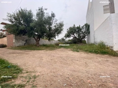 Lot de terrain de 250 m² à Hammamet à vendre 51355351