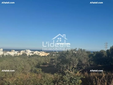 Terrain Rahma à hammamet Nord