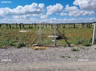 Terrain clôturé de 1000 m² à vendre à 110 MD à Hammamet Sud