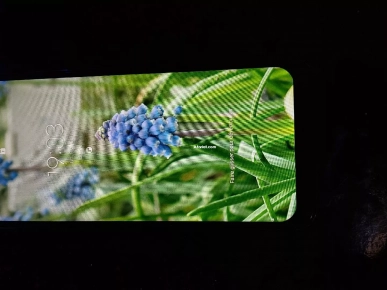 Samsung a50