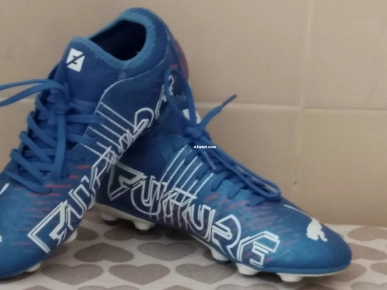 carpoun puma carpoun puma