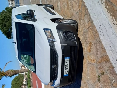 peugeot partner k9
