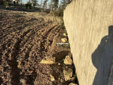1000m2 clôturé eaux et électricité