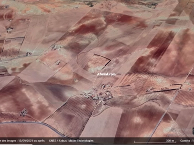 Terrain agricole nu Terrain agricole nu