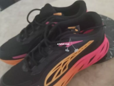 Basket Puma