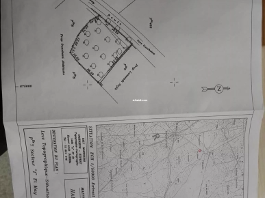 TERRAIN 2 658 M² SUR ROUTE EL MAY 4175 DJERBA - TIYANIST