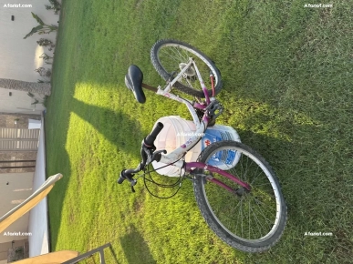 trois vélos en bon état