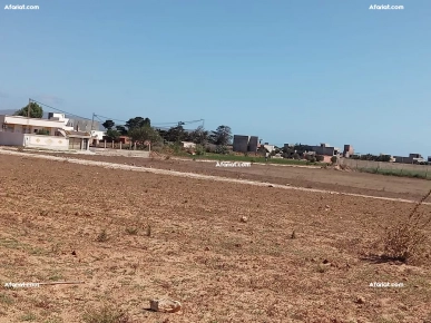 un terrain à kélibia dar allouche avec facilité du paiement un terrain à kélibia dar allouche avec facilité du paiement