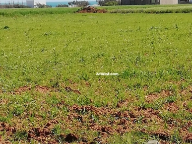 terrain avec vue imprenable sur mer a plage dar allouche kelibia terrain avec vue imprenable sur mer a plage dar allouche kelibia