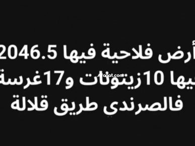 ارض للبيع موقع ممتاز ارض للبيع موقع ممتاز