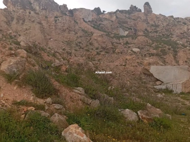 À Vendre – Terrain de 3,5 Hectares avec Gisement de Marbre