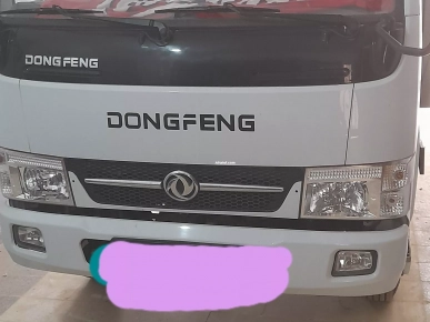 Camion Dongfeng