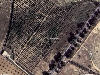 À Vendre – Ferme Agricole à Rakkada, Kairouan À Vendre – Ferme Agricole à Rakkada, Kairouan