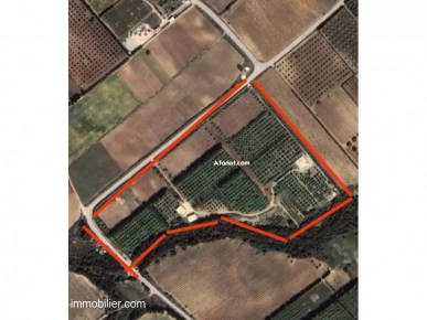 FERME HELA Nabeul Mhedhba T1227