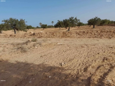 TERRAIN 3 822 M²  A DJERBA EN 2 éme  POSITION 4175 EL MAY TERRAIN 3 822 M²  A DJERBA EN 2 éme  POSITION 4175 EL MAY