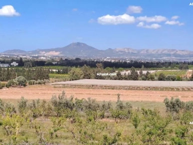 Villa Piscine 1 Hectare