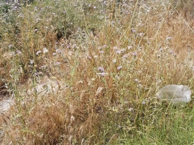 La marsa bhar lazreg pas loin de cité el khalil  A vendre terrain