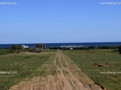 un terrain à kerkouane