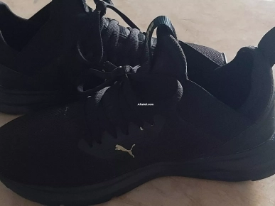 puma d'origine