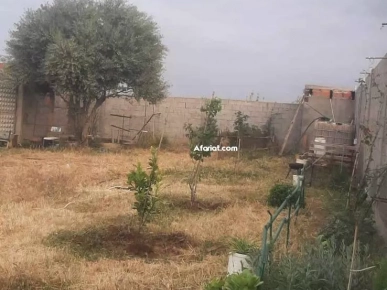 a vendre terrain ارض للبيع