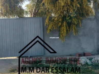 terrain agricole à vendre