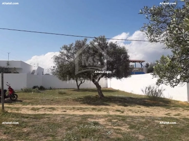 à vendre un superbe TERRAIN à HAMMAMET SUD