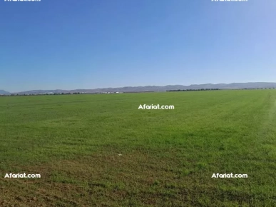 أرض 5 هكتارات في زغوان على الطريق الرئيسي الرابط بين النفذة وفحص أرض 5 هكتارات في زغوان على الطريق الرئيسي الرابط بين النفذة وفحص