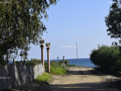 un terrain à kerkouane vue de mer à moindre prix