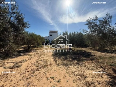 À vendre : deux terrains d’exception à Hammamet Nord