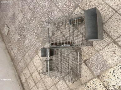 cage de lapin