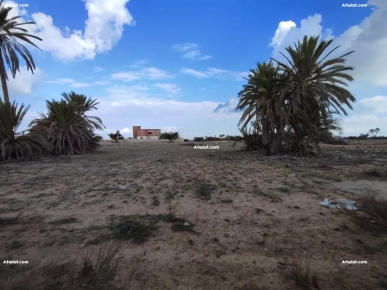 Terrain à Vendre à Ghizen Terrain à Vendre à Ghizen