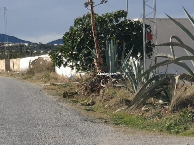 terrain a vendre 28.910817 terrain a vendre 28.910817