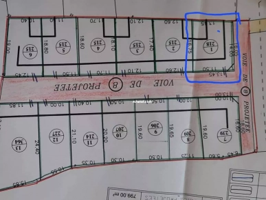 قطعة ارض مقسمة للبيع قطعة ارض مقسمة للبيع