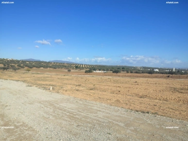 des lots terrains  à vendre  à Hammamet-Yasmine