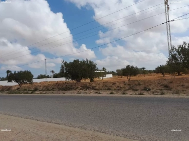TERRAIN 2 658 M² SUR ROUTE EL MAY 4175 DJERBA - TIYANIST