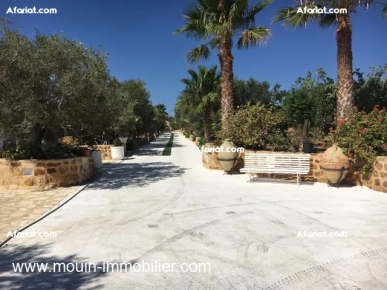 La Ferme Des Cactées T377 Hammamet