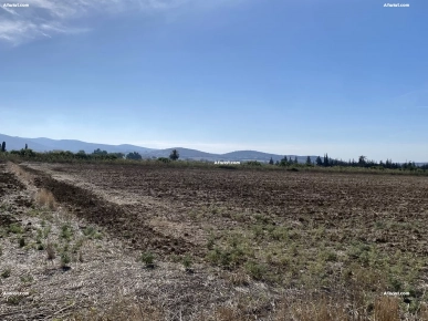 terrain a vendre