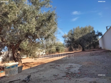 Terrain clôturé de 876 m² à Hammamet Sud à vendre 51355351