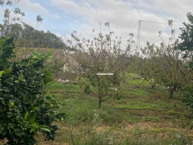 ferme de 3 hectares à vendre 