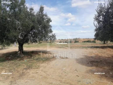 à vendre un superbe terrain à Manaret Elhammamet