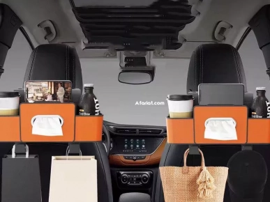 Storage rack voiture