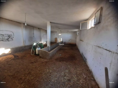 Ferme à zaghwen Ferme à zaghwen