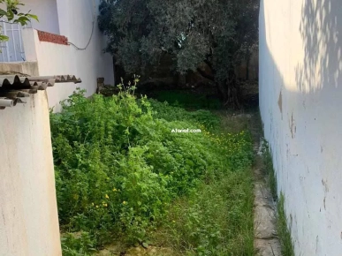 عقار مسجل للبيع.المساحة 557 مترمربع .