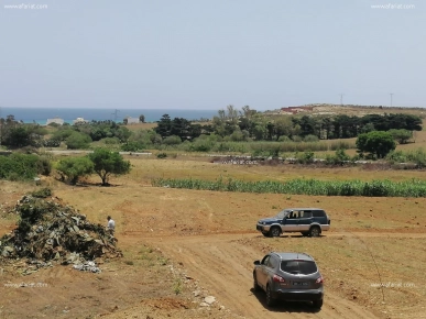 Un terrain à El Haouaria (chate geubli)