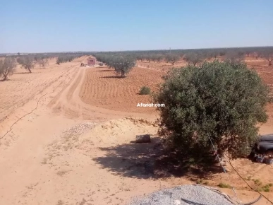 Maison Avec terrain a vendre