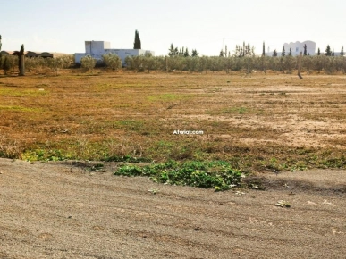 des lots terrains constructibles à vendre à  Hammamet-Yasmine