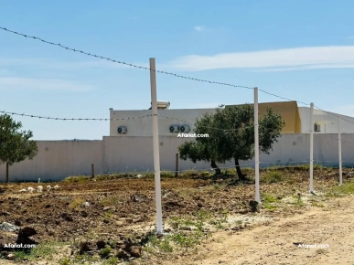 un  terrain A HAMMAMET