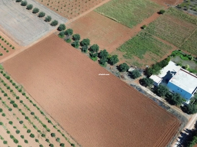 أرض زراعية رائعة بشهادة ملكية - فرصة نادرة في سيدي ثابت!