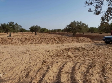 TERRAIN 3 822 M² DIS BEN MESSAOUD EL MAY 4175 DJERBA